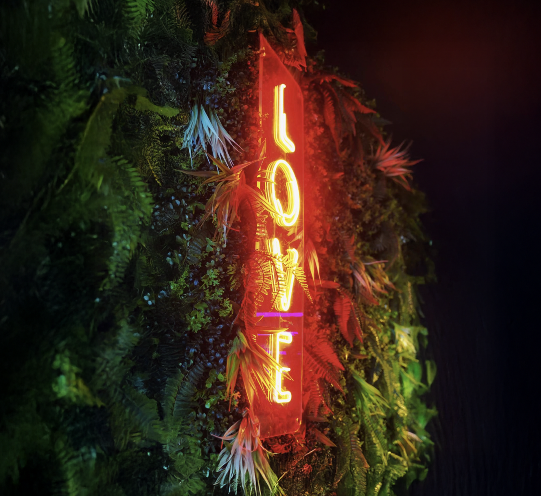 love neon lights
